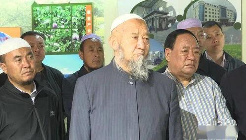 梦的第七章回家的路活动是什么